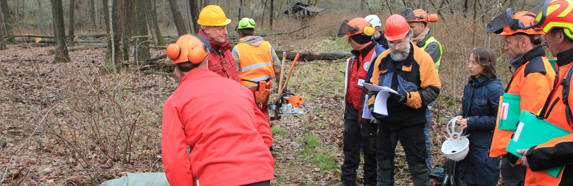 Centro di Formazione Forestale di Rincine: Aperte le Iscrizioni Per la Sessione Autunnale