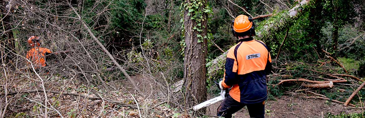 Centro di Formazione Forestale di Rincine: Ripartono i Corsi Per Operai forestali della Regione Toscana