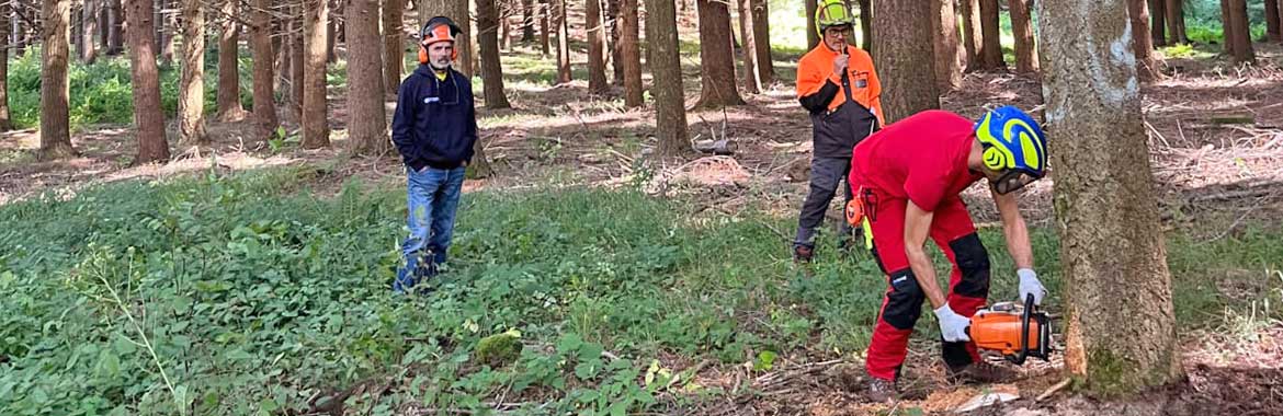 Centro di Formazione Forestale di Rincine concluso il Corso Per Istruttori Forestali (Progetto For. Italy 2): Abilitati 15 Nuovi Istruttori Forestali di Varie Regioni